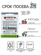 Семена огурца "Бидретта", F1, 12 шт. - Фото 2