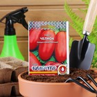 Семена Томат "Челнок" серия Кольчуга, раннеспелый, детерминантный,низкорослый 0,2 г - Фото 3