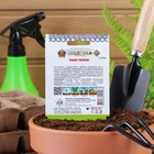 Семена Томат "Челнок" серия Кольчуга, раннеспелый, детерминантный,низкорослый 0,2 г - Фото 4