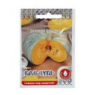 Семена Тыква "Зимняя сладкая" серия Кольчуга, 1 г - Фото 4