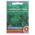 Семена Укроп "Обильнолистный" серия Кольчуга, 2 г - Фото 5