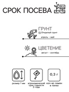 Семена цветов Лаватера "Садовая роза" смесь, серия Кольчуга, О, 0,3 г - Фото 2