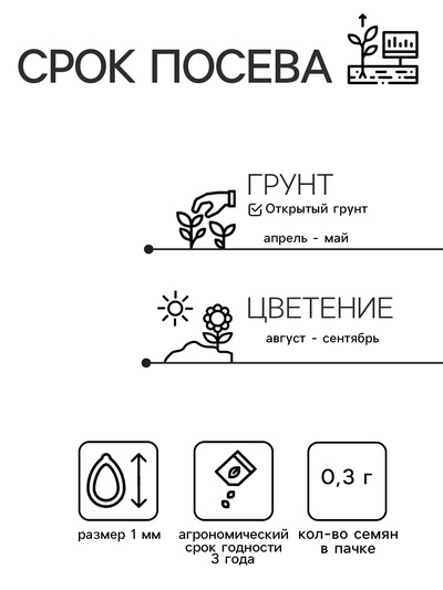Семена цветов Лаватера "Садовая роза" смесь, серия Кольчуга, О, 0,3 г