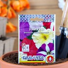 Семена цветов Петуния "Уникум" смесь, серия Кольчуга, О, 0,1 г - Фото 1