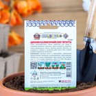 Семена цветов Цинния "Калифорнийские гиганты" смесь, серия Кольчуга, О, 0,3 г - Фото 3