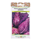 Семена Капуста краснокочанная "Калибос" серия Русский огород, 0,5 г (комплект 3 шт) - фото 24521008