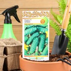 Семена огурца "Герман", F1, 8 шт. - Фото 1