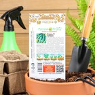 Семена огурца "Герман", F1, 8 шт. - Фото 2