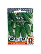 Семена огурца "Гинга", F1, 10 шт. - Фото 6
