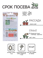 Семена огурца «Зозуля», серия «Русский огород», F1, 10 шт. - Фото 2