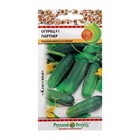 Семена Огурец «Партнер» F1, раннеспелый, партенокарпический, 10 шт., «Русский огород» - Фото 3