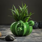 Кашпо "Кактус" 13*13*8 см - Фото 2