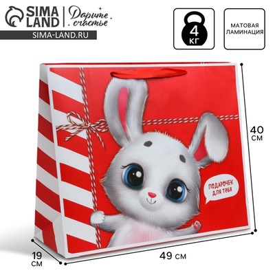 Пакет подарочный ламинированный, упаковка, «Посылка», XL 49 х 40 х 19 см