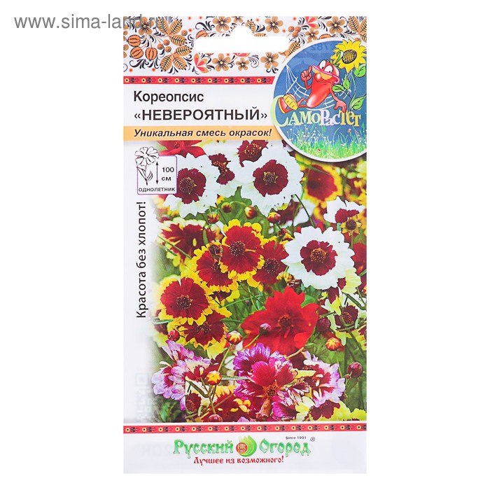 Как выглядят семена кореопсиса Как выглядят семена кореопсиса