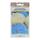 Семена цветов Астра комплимент "Марш Авиаторов" смесь, серия Русский огород, О, 0,2 г - Фото 3