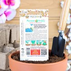 Семена цветов Астра комплимент "Марш Авиаторов" смесь, серия Русский огород, О, 0,2 г - Фото 6