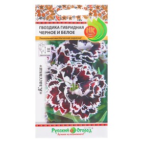 Семена цветов Гвоздика гибридная "Черное и Белое", серия Русский огород, О, 50 шт 4073387