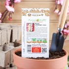 Семена цветов Мальва "Гирлянда", 0,2 г - Фото 2