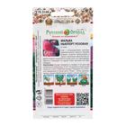 Семена цветов Мальва "Ньюпорт", 0,2 г - Фото 4