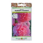 Семена цветов Мальва "Ньюпорт", 0,2 г - Фото 5