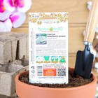 Семена цветов Алиссум "Ванильное облако", серия Парфюм, О, 0,1 г - Фото 2