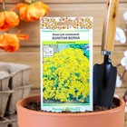 Семена цветов Алиссум "Золотая волна" скальный, серия Русский огород, Мн, 0,1 г - Фото 1