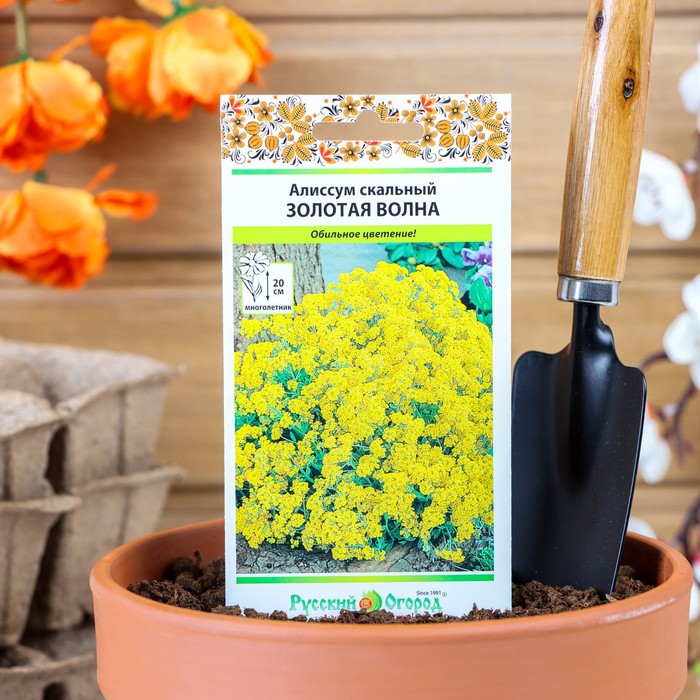 Семена цветов Алиссум "Золотая волна" скальный, серия Русский огород, Мн, 0,1 г - Фото 1