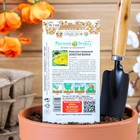 Семена цветов Алиссум "Золотая волна" скальный, серия Русский огород, Мн, 0,1 г - Фото 2