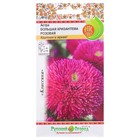 Семена цветов Астра "Большая хризантема" розовая, серия Русский огород, О, 50 шт - фото 3187567
