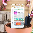 Семена цветов Астра "Большая хризантема" розовая, серия Русский огород, О, 50 шт - Фото 6