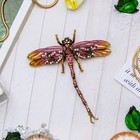 Брошь «Стрекоза» кордулегастр, цвет розовый в черненом золоте - Фото 1
