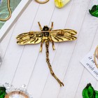 Брошь «Стрекоза» кордулегастр, цвет розовый в черненом золоте - Фото 2