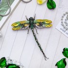 Брошь «Стрекоза» кордулегастр, цвет зеленый в черненом серебре - Фото 1