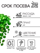 Семена цветов Дихондра "Изумрудный водопад", серия "Профи", F1, О, 10 шт. - Фото 4