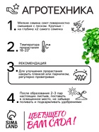 Семена цветов Дихондра "Изумрудный водопад", серия "Профи", F1, О, 10 шт. - Фото 2