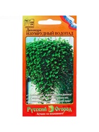 Семена цветов Дихондра "Изумрудный водопад", серия "Профи", F1, О, 10 шт. - Фото 5