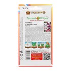 Семена цветов Петуния "Глория" F1 махровая, смесь, серия Профи, О, 8 шт - Фото 2