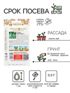 Семена Огурец "Майский" F1, серия Русский огород, скороспелый, пчелоопыляемый, 0,3 г - Фото 2