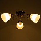 Люстра «Оливия» 3×40 Вт E27 бронза 45×43×20 см - Фото 3