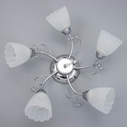 Люстра «Адель», 5×40 Вт E27, хром, 54×52×17 см - Фото 5