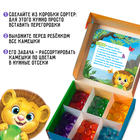 Мозаика, по методике Монтессори, 54 камешка, 10 заданий, 3+ - Фото 3