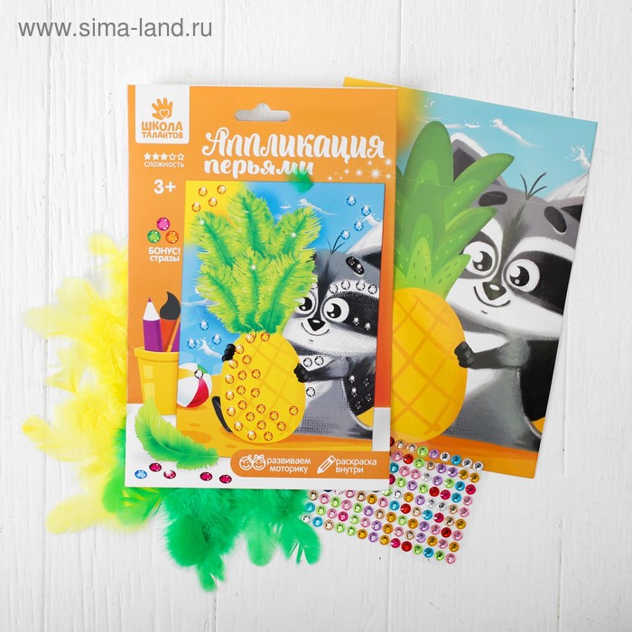 Набор для творчества. Аппликация перьями и стразами «Енот» 14,8 х 21 см - Фото 1