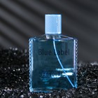 Туалетная вода мужская Absolute Blue Label, 100 мл (по мотивам Blue Label (Givenchy) - Фото 2