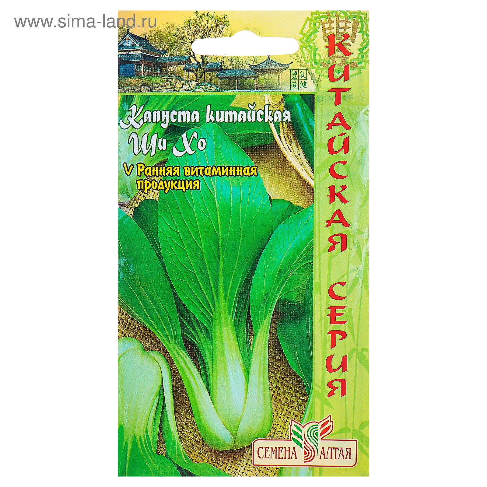 Алтайские семена капусты. Капуста акира. Пекинская капуста фото на грядке как выглядит. Золотой шар капуста. У меня на грядке капуста пекинская нагаока.