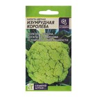 Семена Капуста Цветная "Изумрудная королева", ц/п, 0,3 г - Фото 1