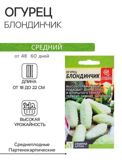 Семена Огурец "Блондинчик", среднеспелый, цп, 0,5 г