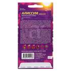 Семена цветов Алиссум "Магический ковер", ц/п, О, ц/п, 0,05 г - Фото 2