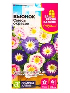 Семена цветов Вьюнок Смесь окрасок трехцветный, О, ц/п, 0,3 г - Фото 1