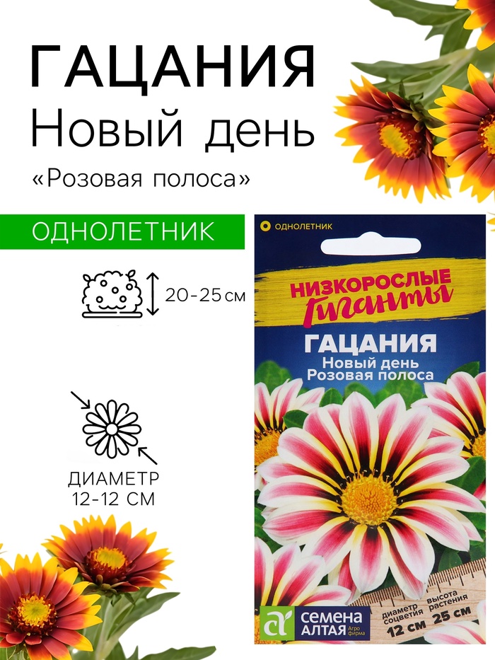 Семена цветов Гацания Новый день «Розовая полоса», ц/п, для балкона, веранды, цветника, однолетник, низкорослая, ц/п, 5 шт. - Фото 1