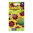 Семена цветов Космидиум "Брюнет", О, цп, 0,01 г - фото 320844546